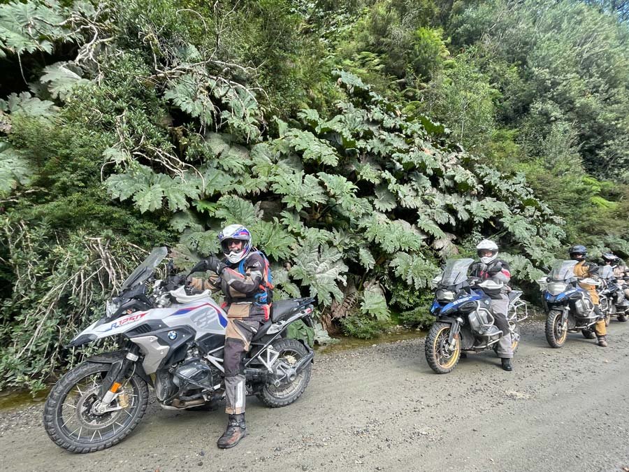 DeathEstancis Langostura to El Calafate