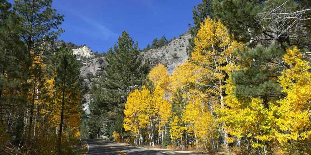 DeathCarson City to Gold Country